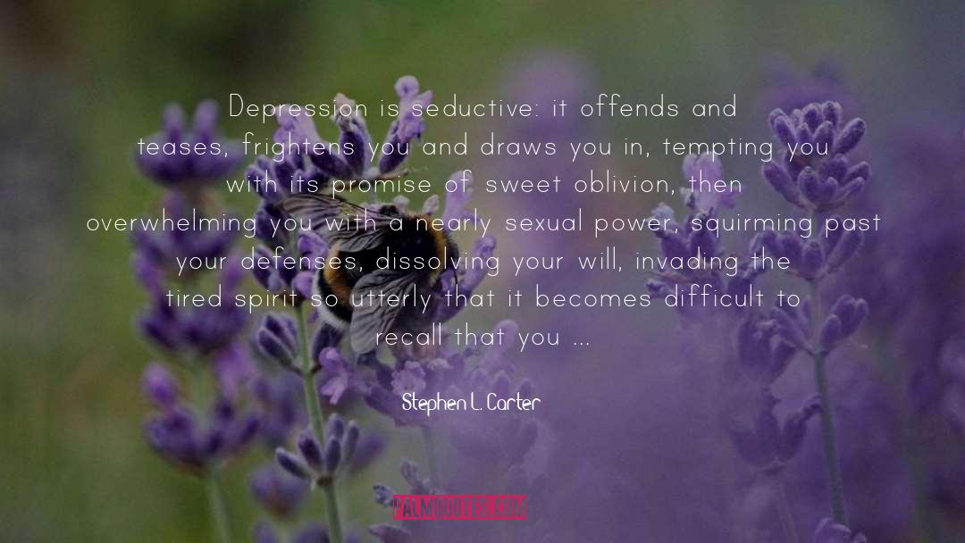 Oh So Sweet quotes by Stephen L. Carter