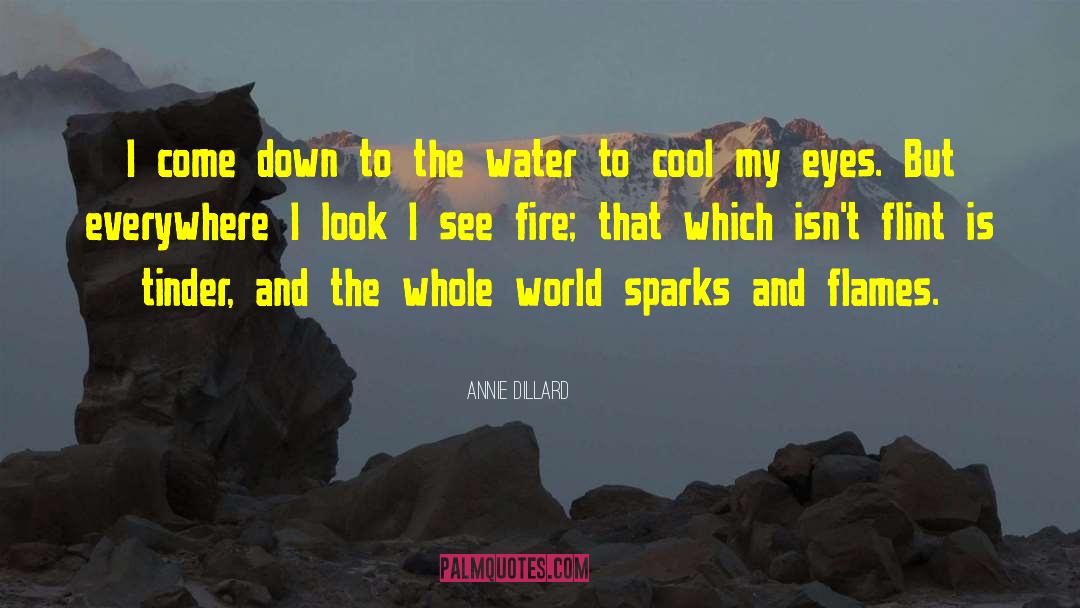 Oil And Water quotes by Annie Dillard