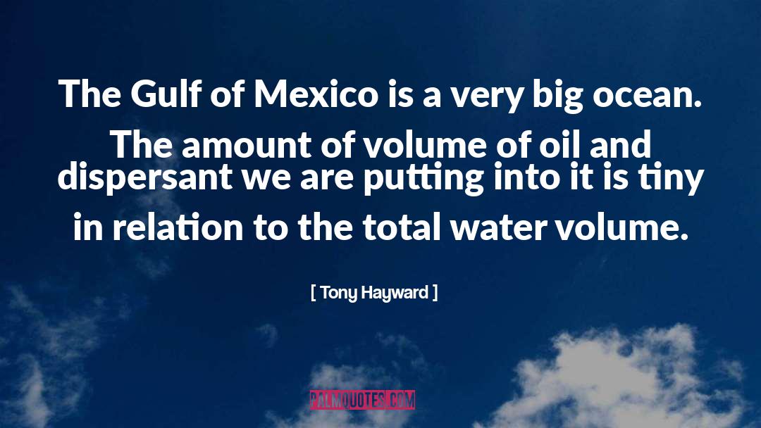 Oil And Water quotes by Tony Hayward