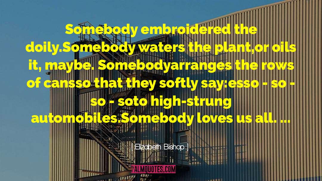 Oils quotes by Elizabeth Bishop