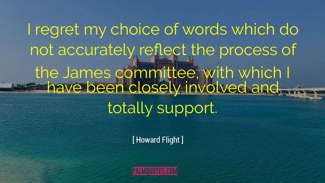 Oireachtas Committees quotes by Howard Flight