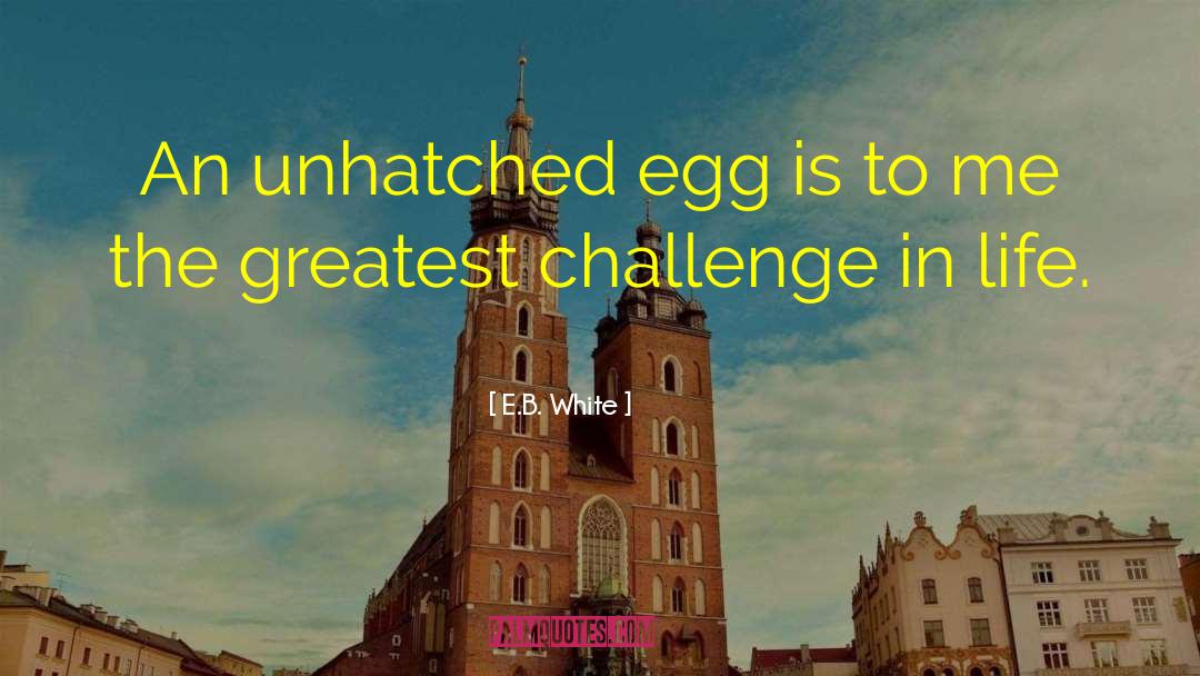 Oivercoming Life Challenges quotes by E.B. White