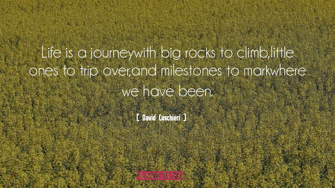 Oivercoming Life Challenges quotes by David Cuschieri