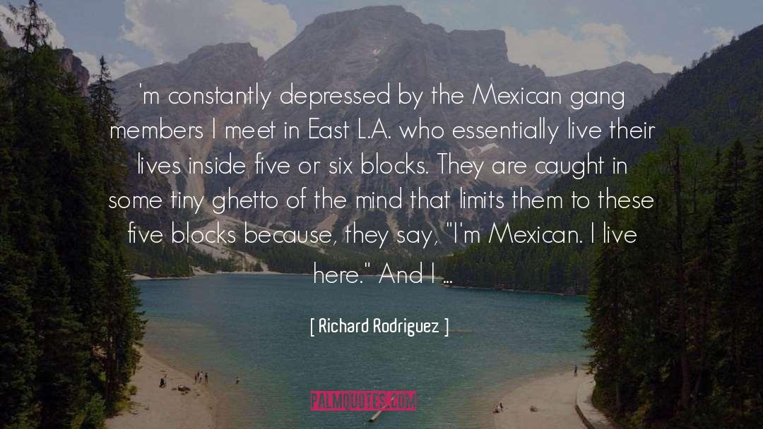 Ok Now I M Depressed quotes by Richard Rodriguez