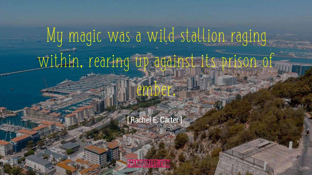 Okeanos Stallion quotes by Rachel E. Carter