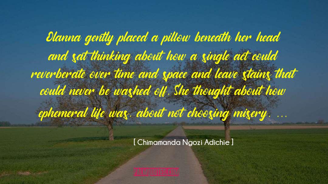 Olanna Goudeau quotes by Chimamanda Ngozi Adichie