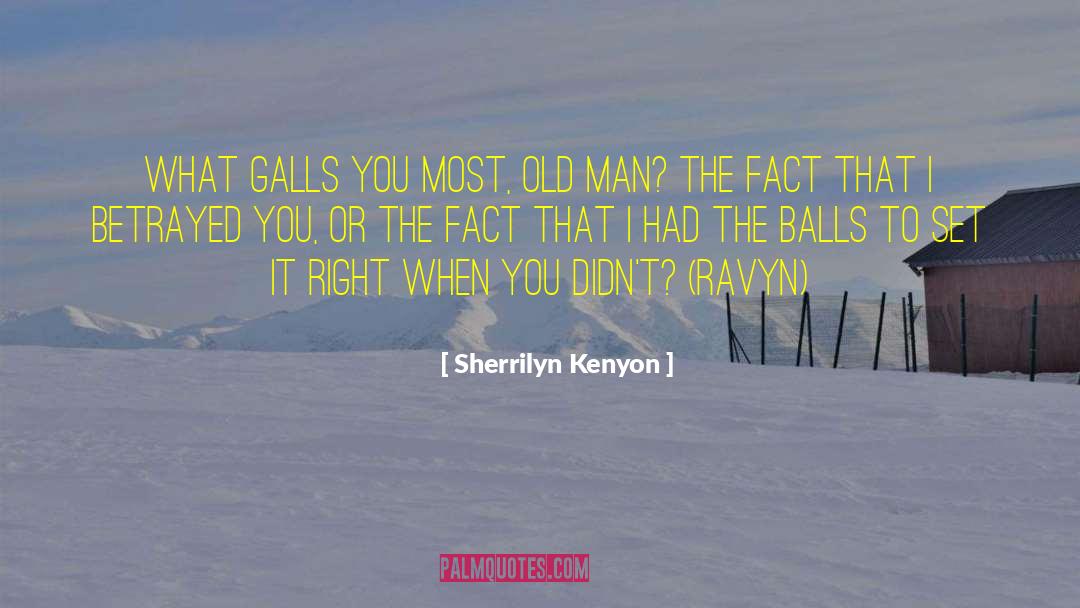 Old Diary quotes by Sherrilyn Kenyon