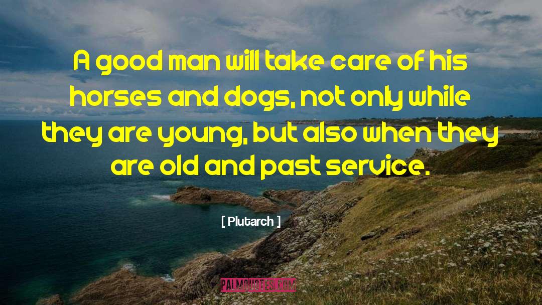 Old Dog quotes by Plutarch