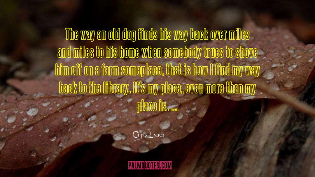 Old Dog quotes by Chris Lynch