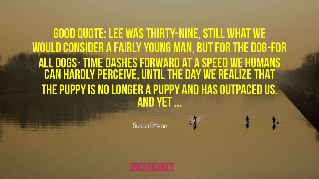 Old Dog quotes by Susan Orlean