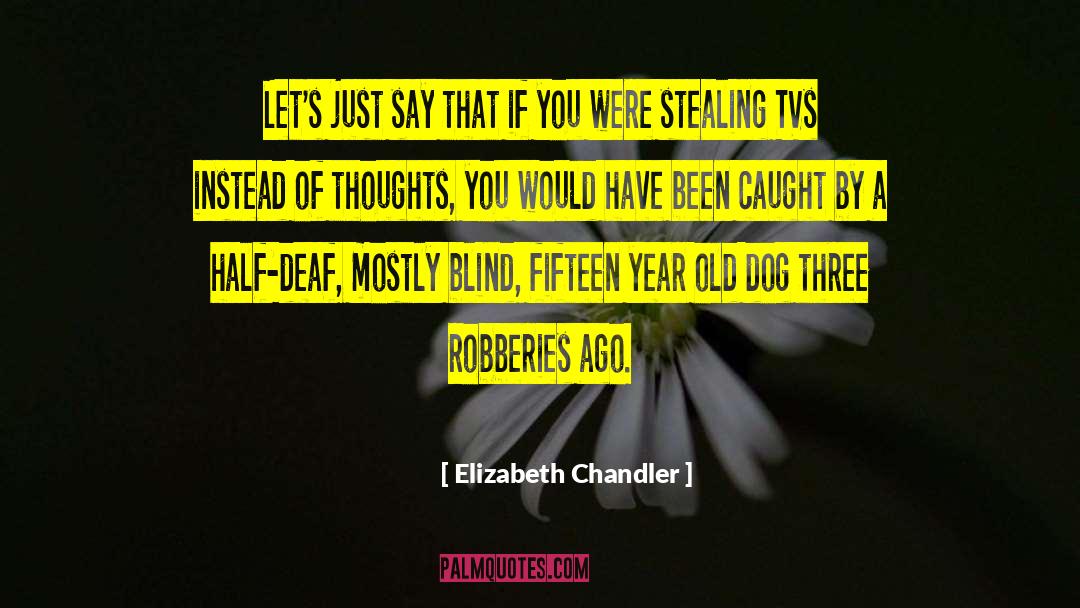 Old Dog quotes by Elizabeth Chandler