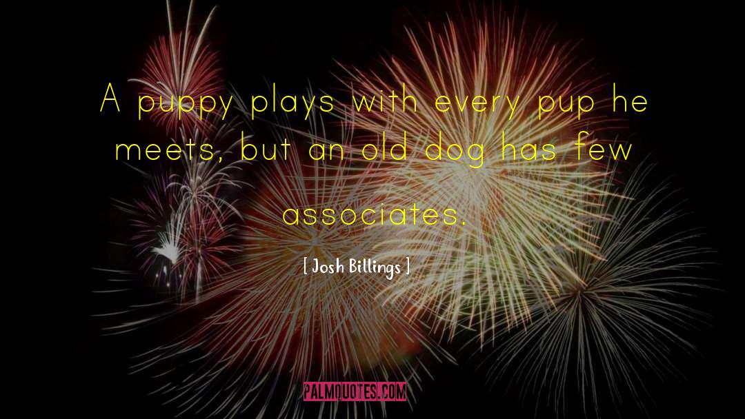 Old Dog quotes by Josh Billings