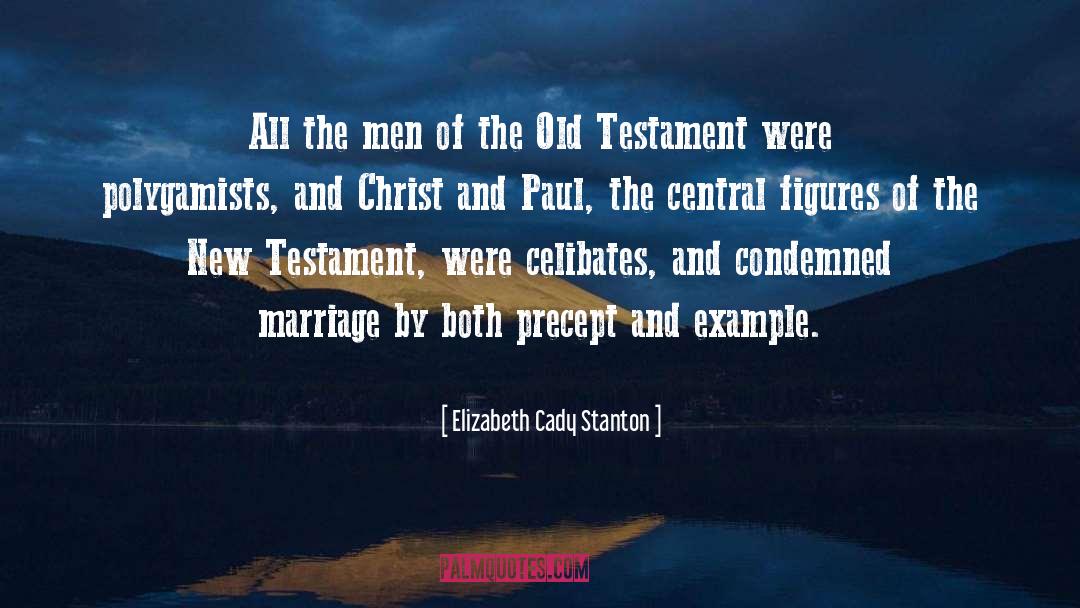 Old English quotes by Elizabeth Cady Stanton