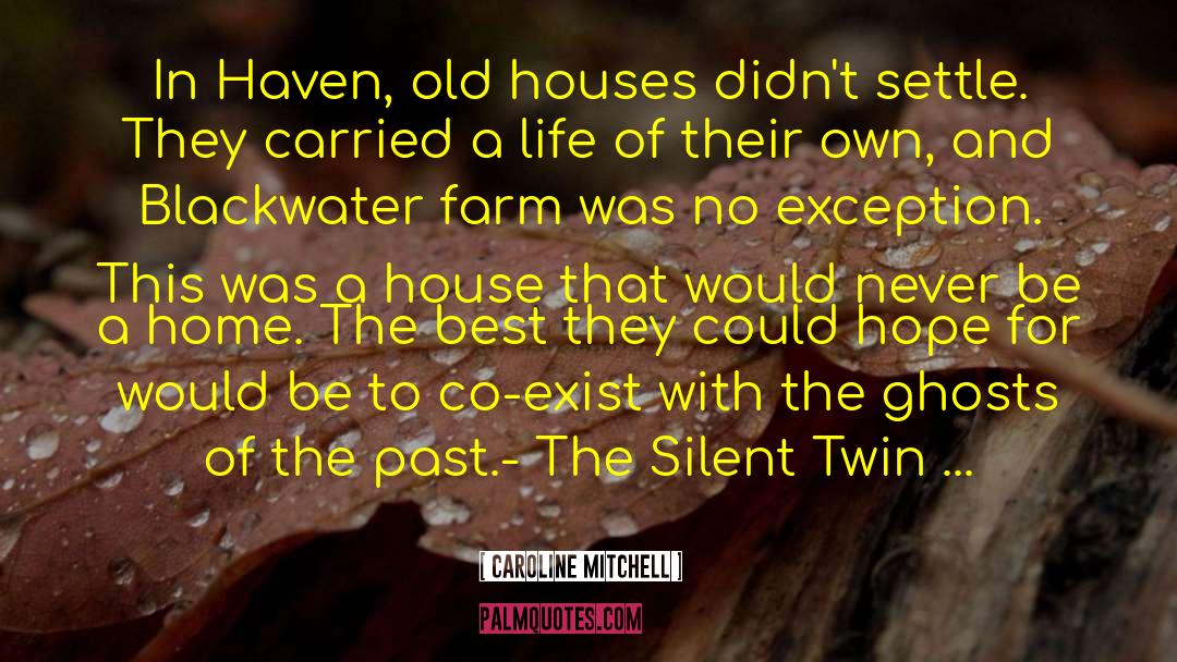 Old Houses quotes by Caroline Mitchell