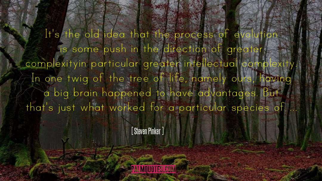 Old Ideas quotes by Steven Pinker