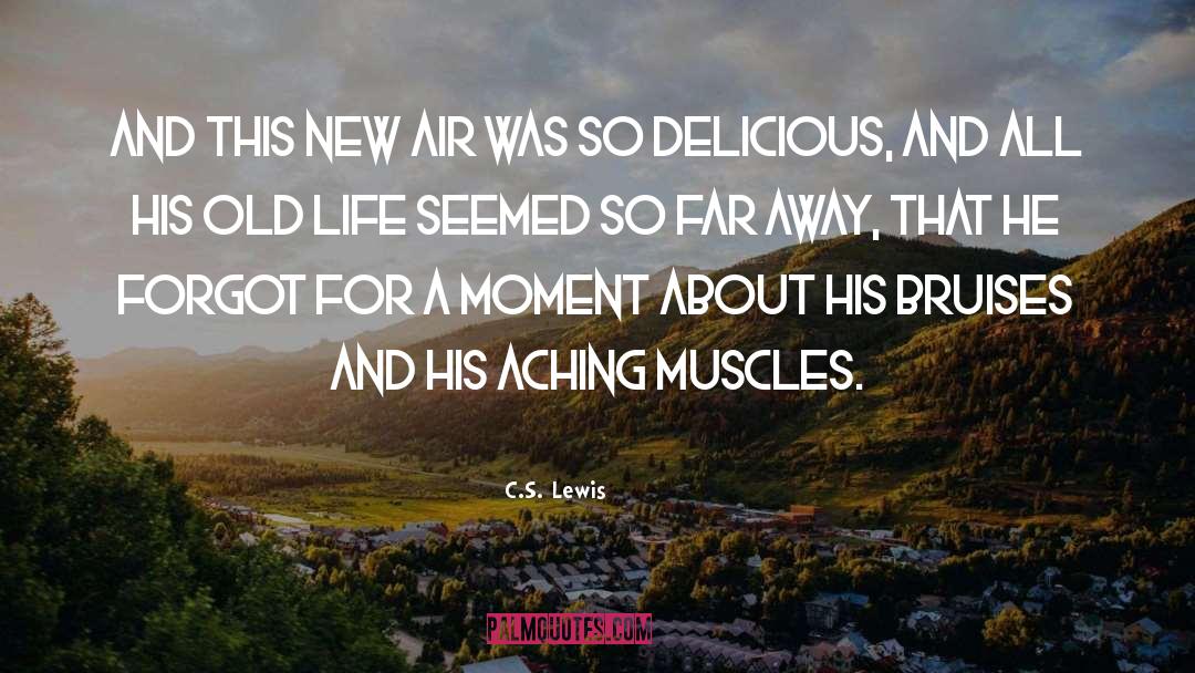 Old Life quotes by C.S. Lewis