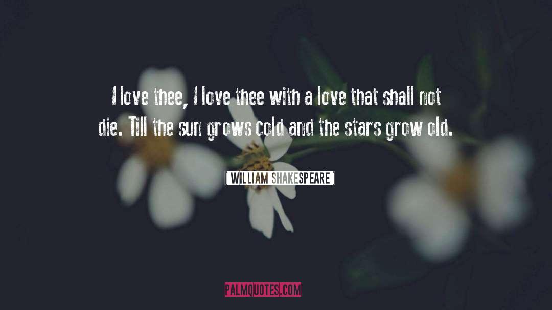 Old Love quotes by William Shakespeare