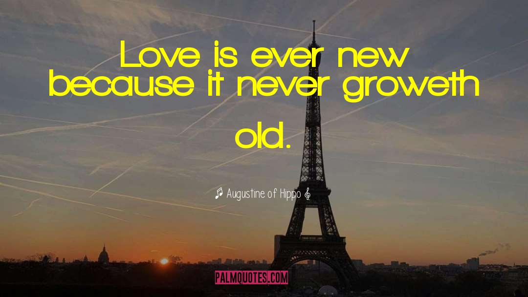 Old Love quotes by Augustine Of Hippo