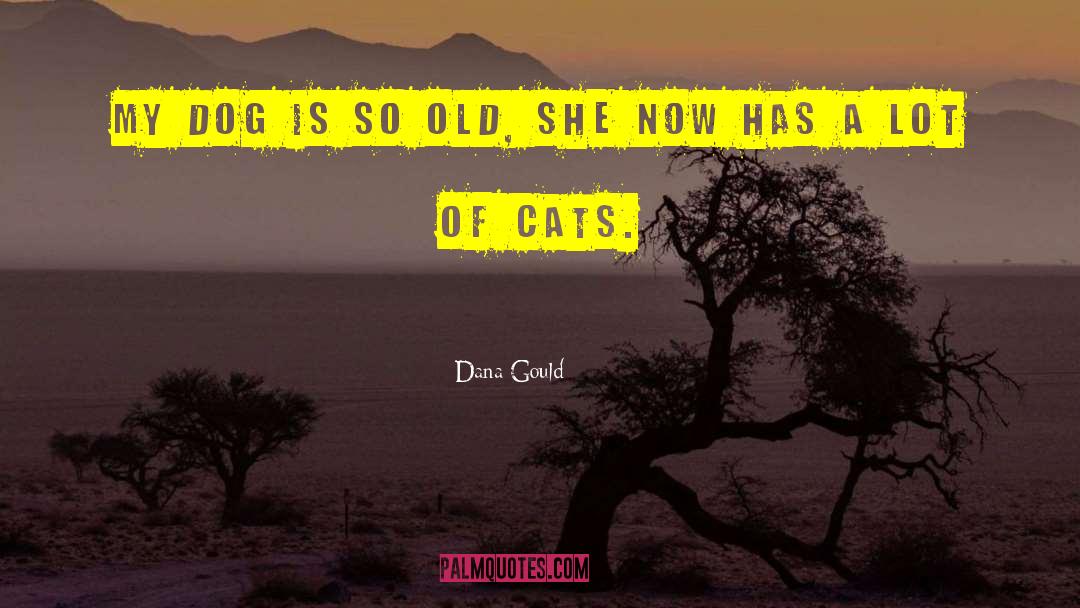 Old Mill quotes by Dana Gould