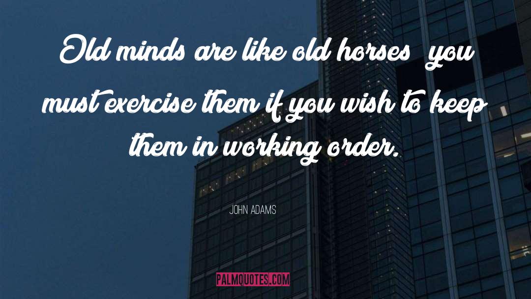 Old Minds quotes by John Adams