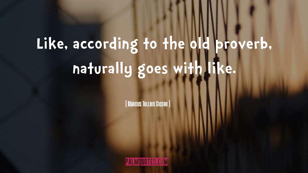 Old Proverb quotes by Marcus Tullius Cicero