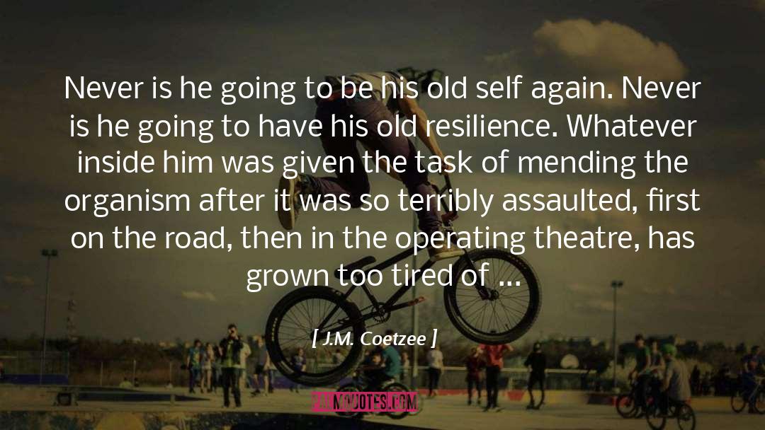 Old Self quotes by J.M. Coetzee