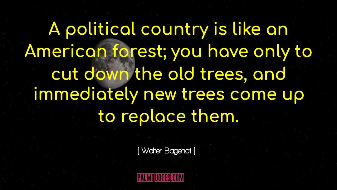 Old Trees quotes by Walter Bagehot