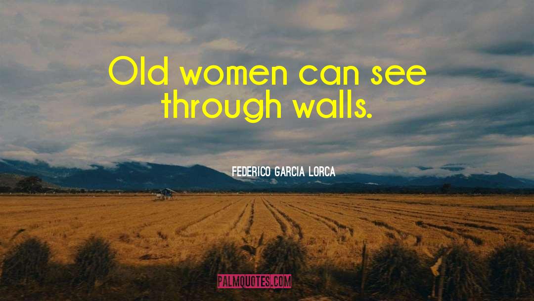 Old Woman Shocked quotes by Federico Garcia Lorca