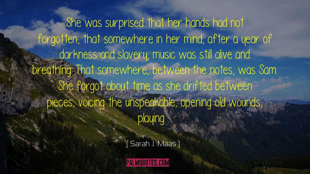 Old Wounds quotes by Sarah J. Maas