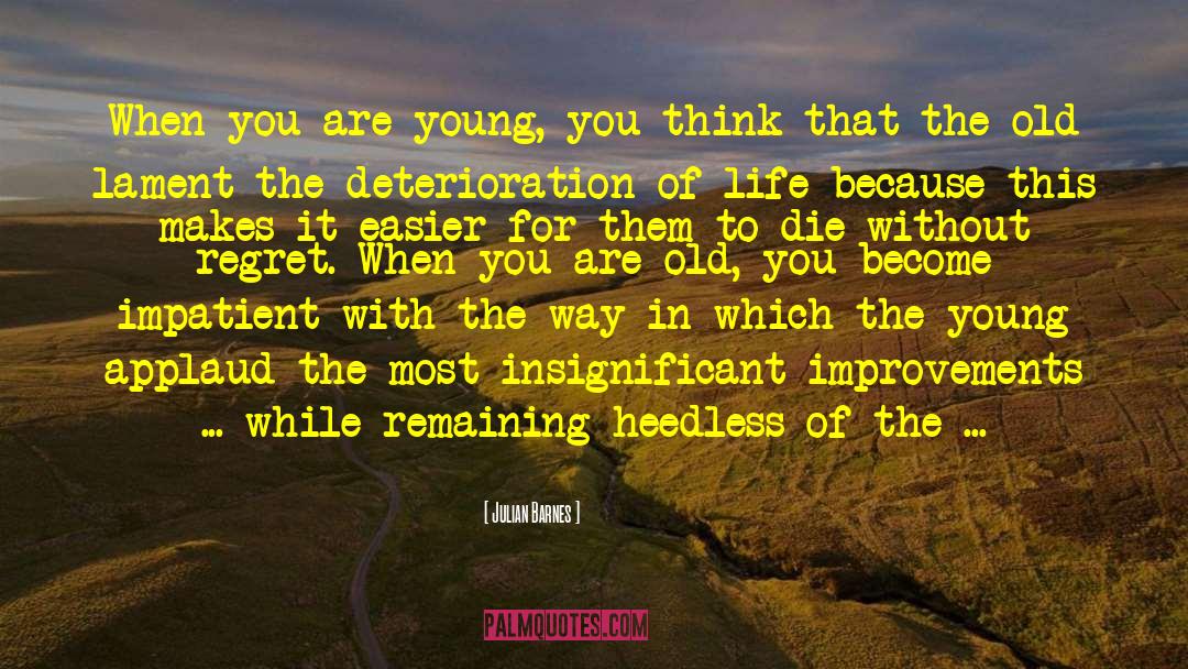 Old You quotes by Julian Barnes