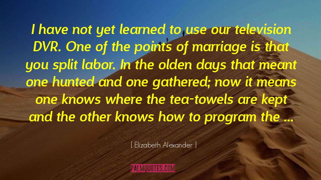 Olden Days quotes by Elizabeth Alexander