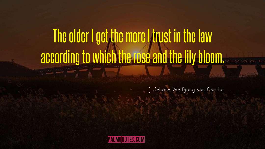 Older I Get The More quotes by Johann Wolfgang Von Goethe