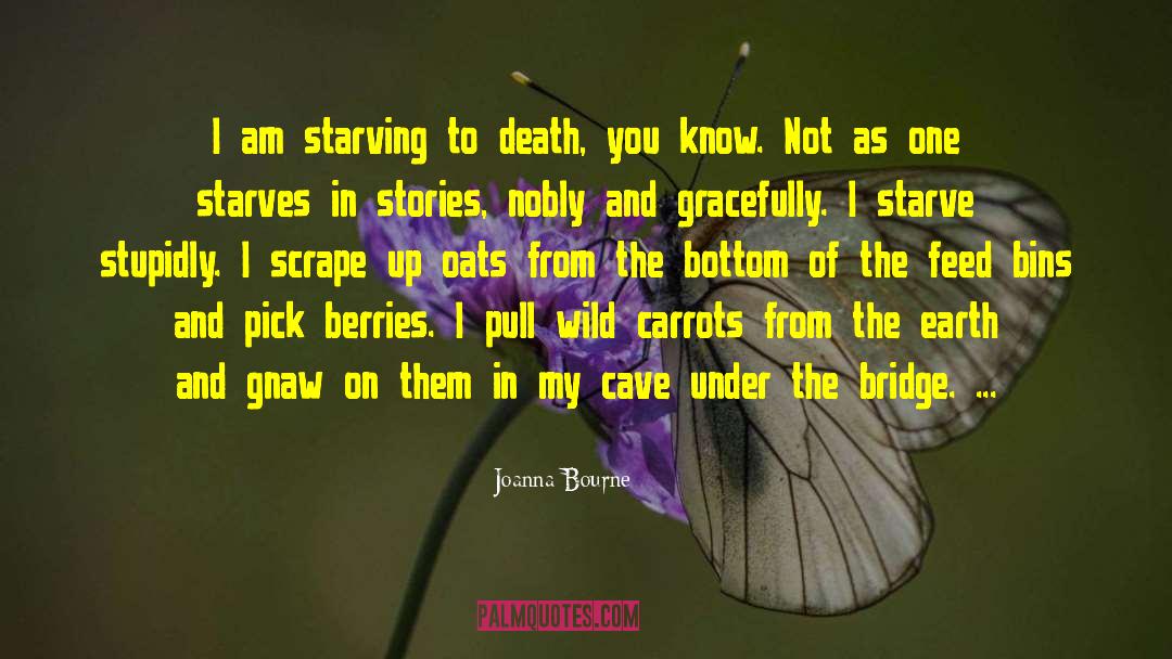 Oldl Starve quotes by Joanna Bourne