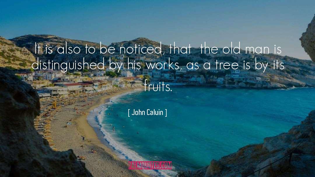 Oleaginous Fruits quotes by John Calvin