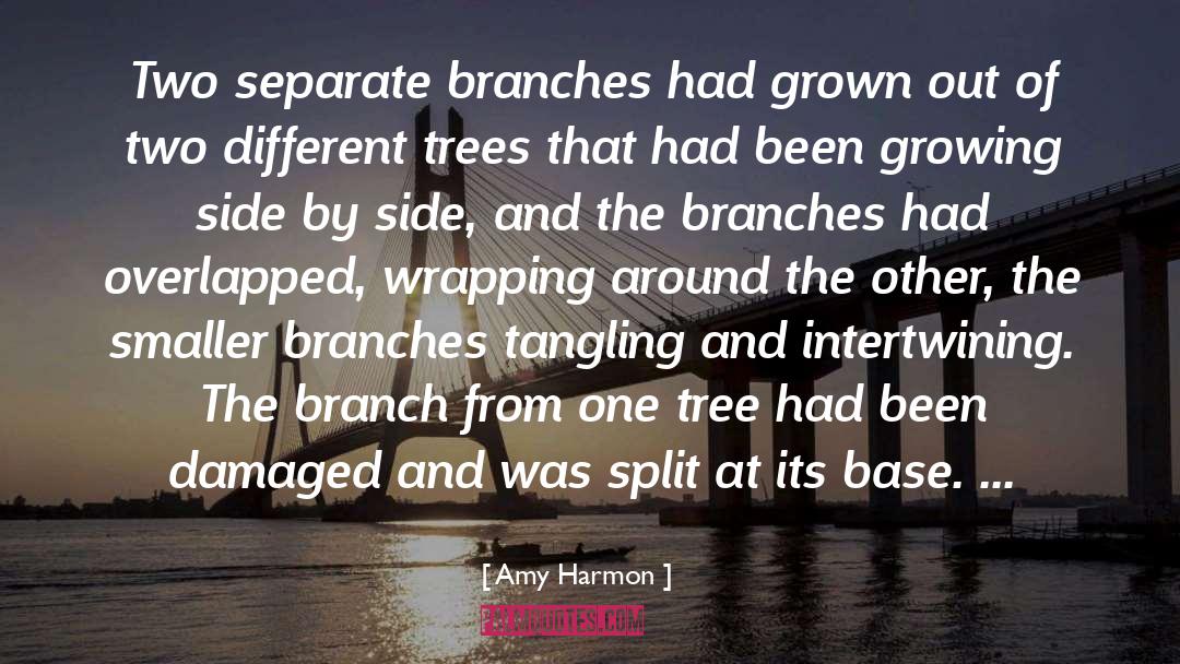 Olive Branches quotes by Amy Harmon