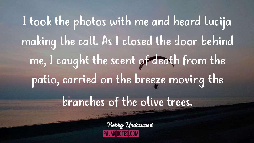 Olive Trees quotes by Bobby Underwood