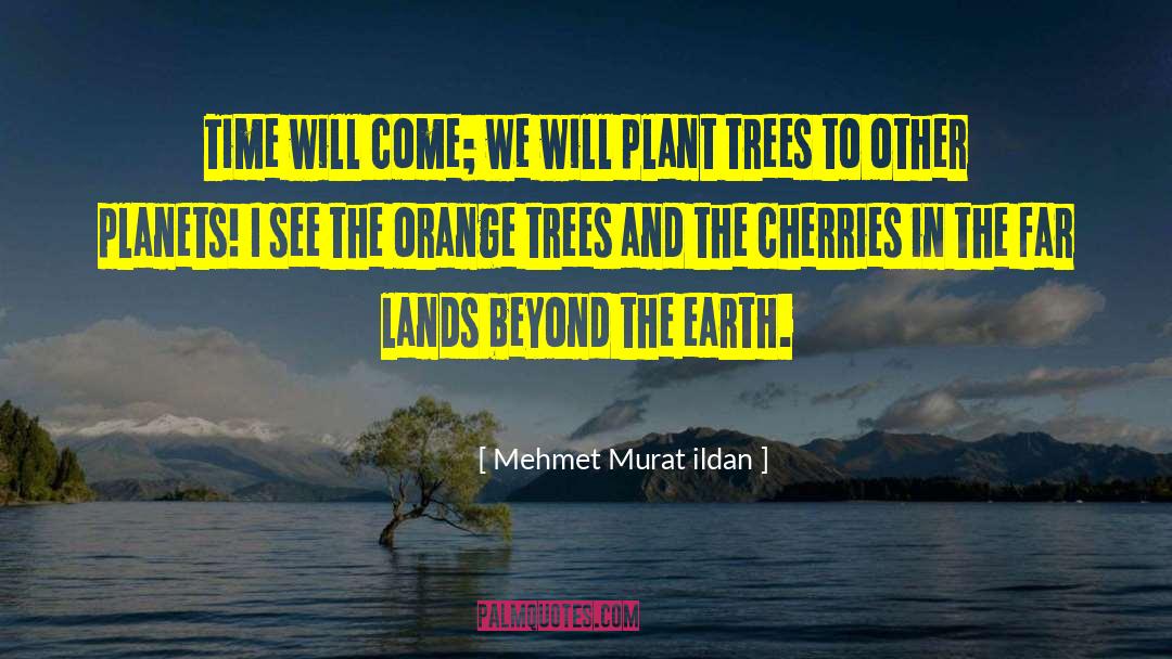 Olive Trees quotes by Mehmet Murat Ildan