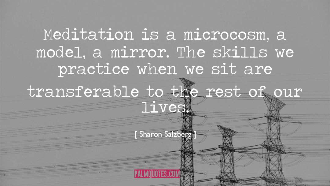 Om Meditation quotes by Sharon Salzberg