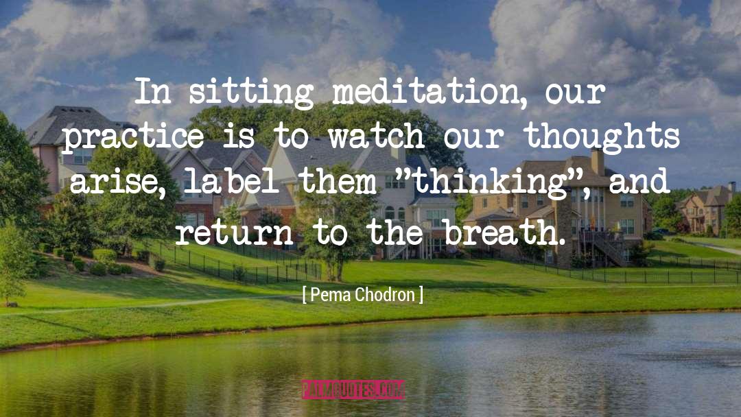 Om Meditation quotes by Pema Chodron