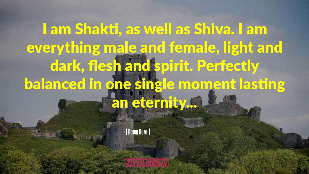 Om Shiva quotes by Robin Rumi