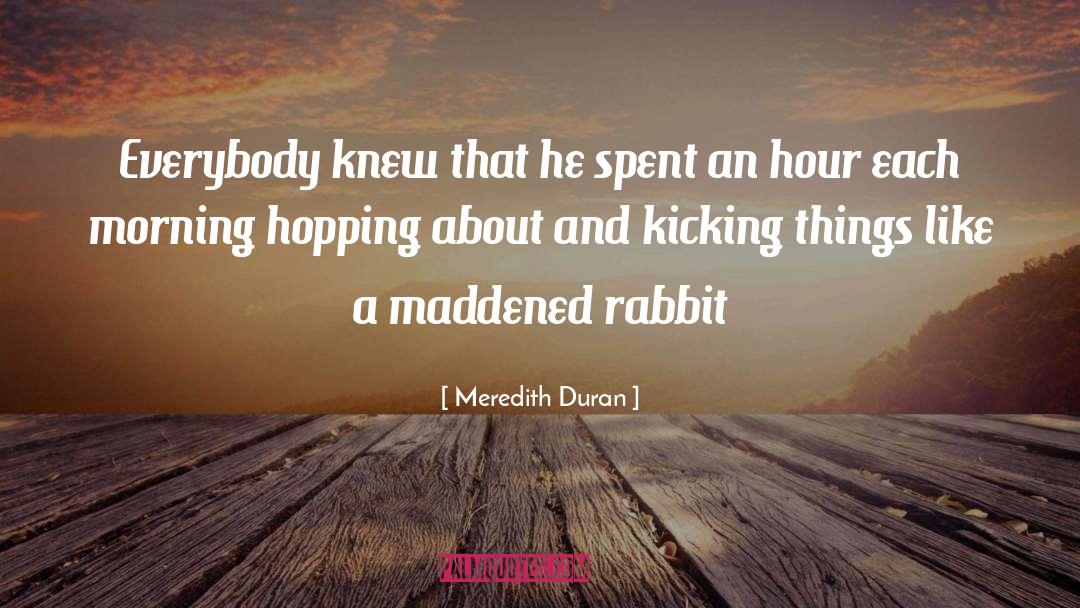 Omam Rabbit quotes by Meredith Duran