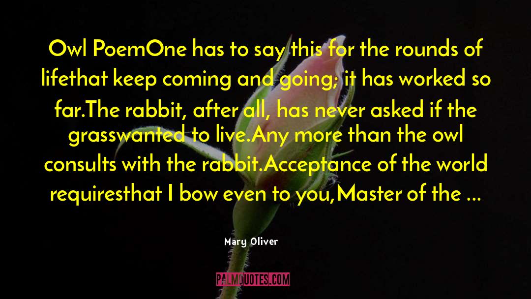 Omam Rabbit quotes by Mary Oliver