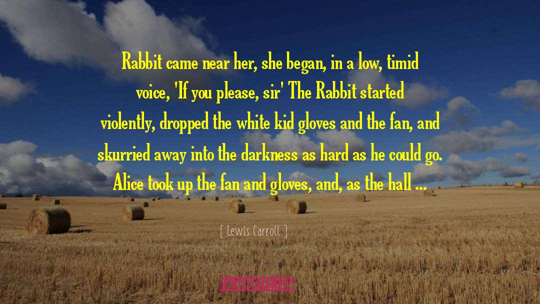 Omam Rabbit quotes by Lewis Carroll