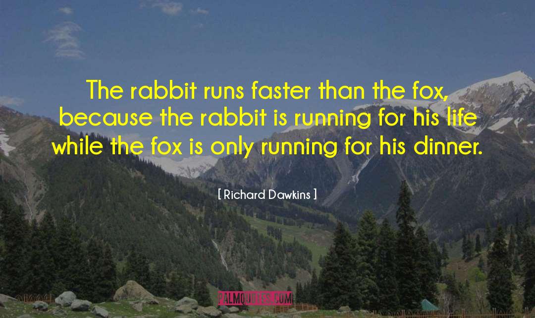Omam Rabbit quotes by Richard Dawkins