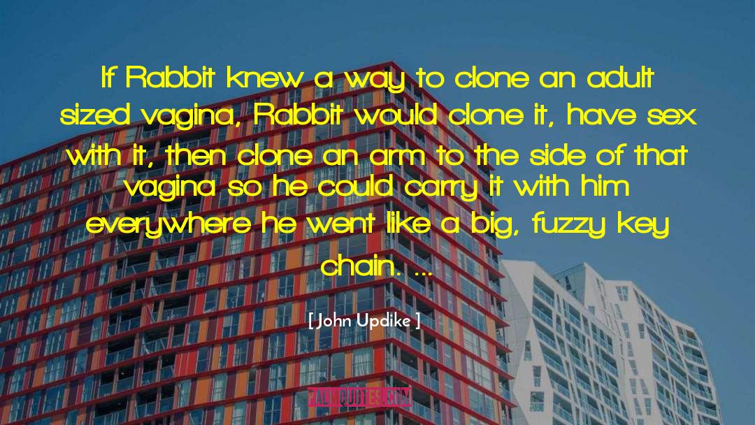 Omam Rabbit quotes by John Updike