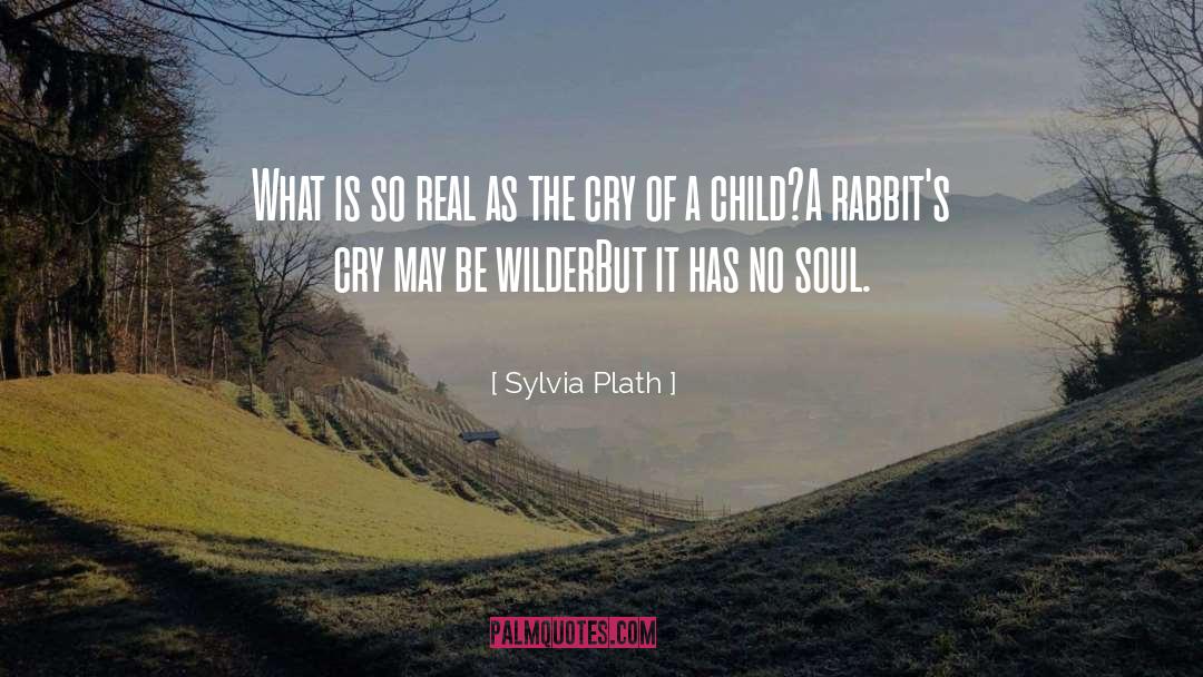 Omam Rabbit quotes by Sylvia Plath