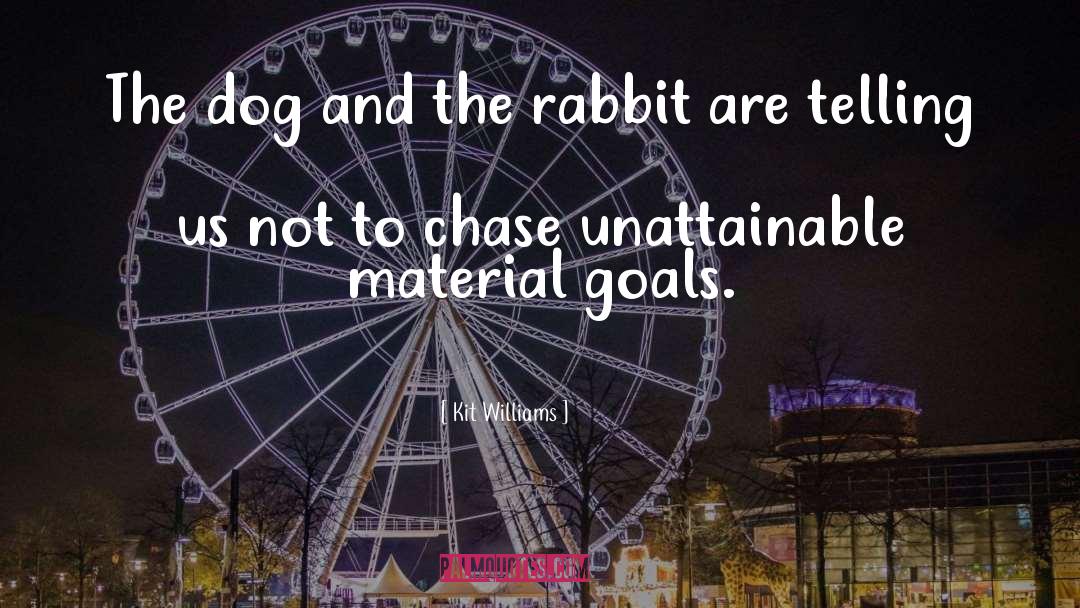 Omam Rabbit quotes by Kit Williams