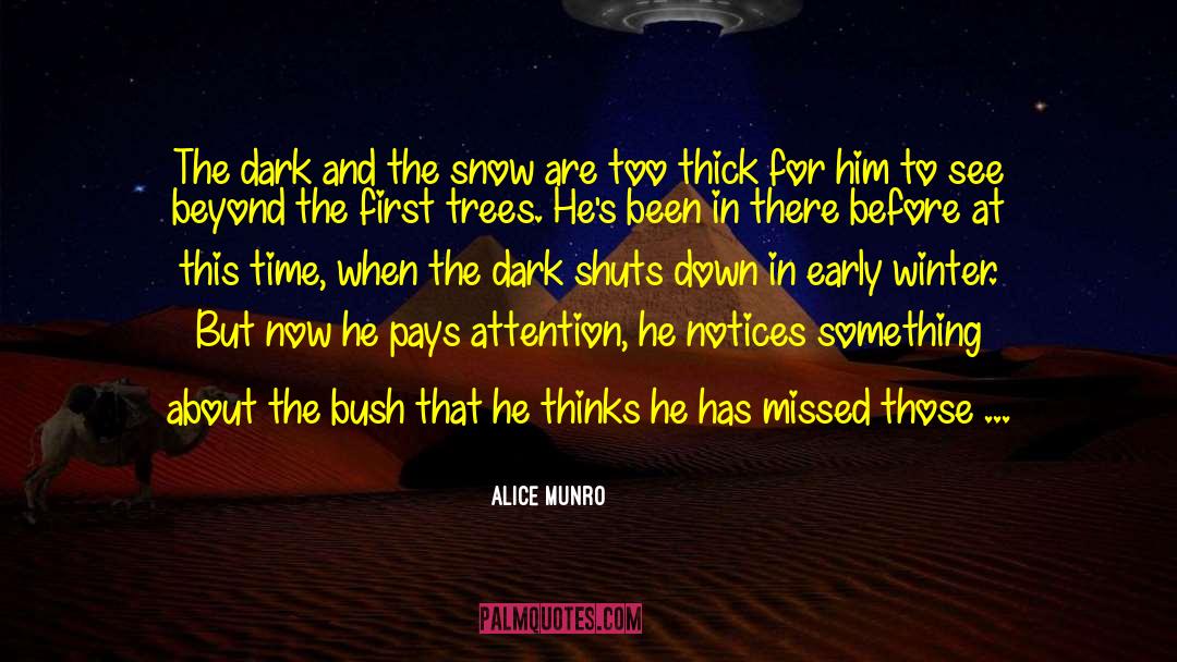 Ominous quotes by Alice Munro