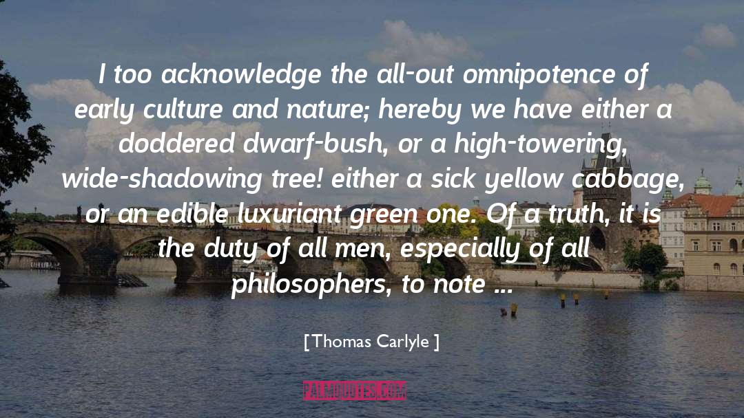 Omnipotence quotes by Thomas Carlyle