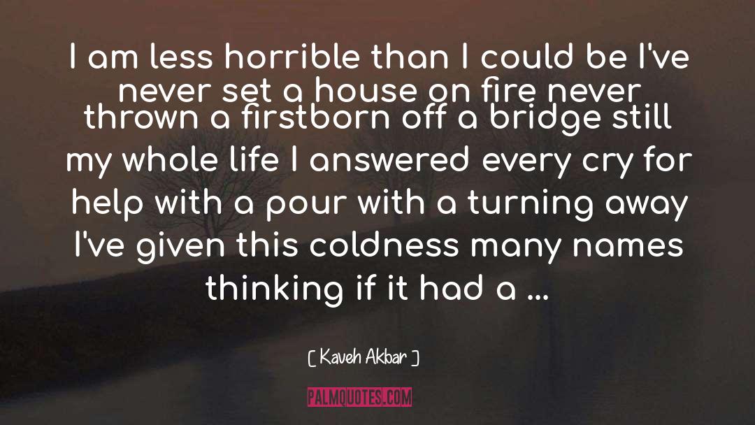 On Fire quotes by Kaveh Akbar